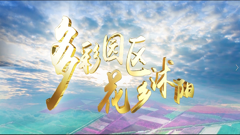維影(yǐng)傳媒與江蘇省沭陽縣合作(zuò)，推出全新宣傳片